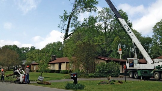 Tree Services Magazine